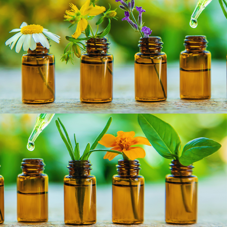 đż AromathĂ©rapie â DĂ©tente et bien-ĂȘtre en immersion đż
