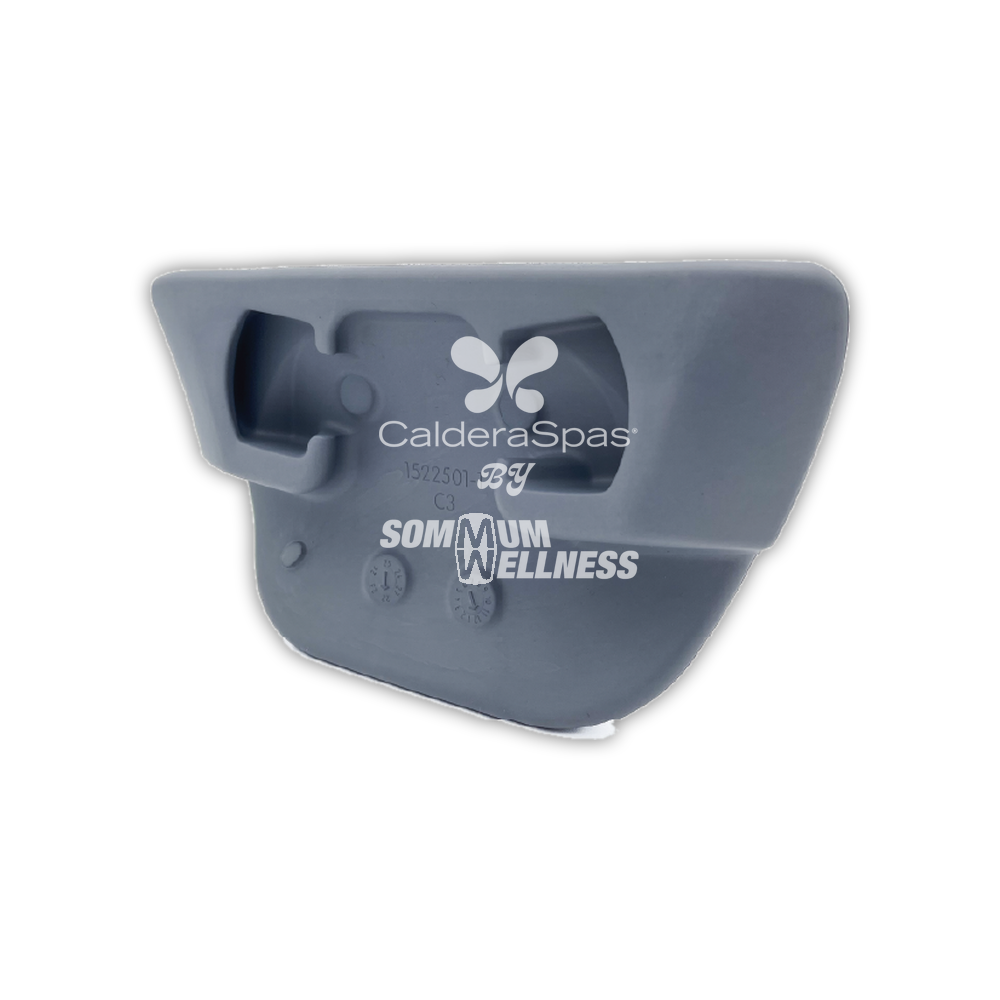 Appui-tête de spa de nage Endless Pools référence 77759, face arrière
