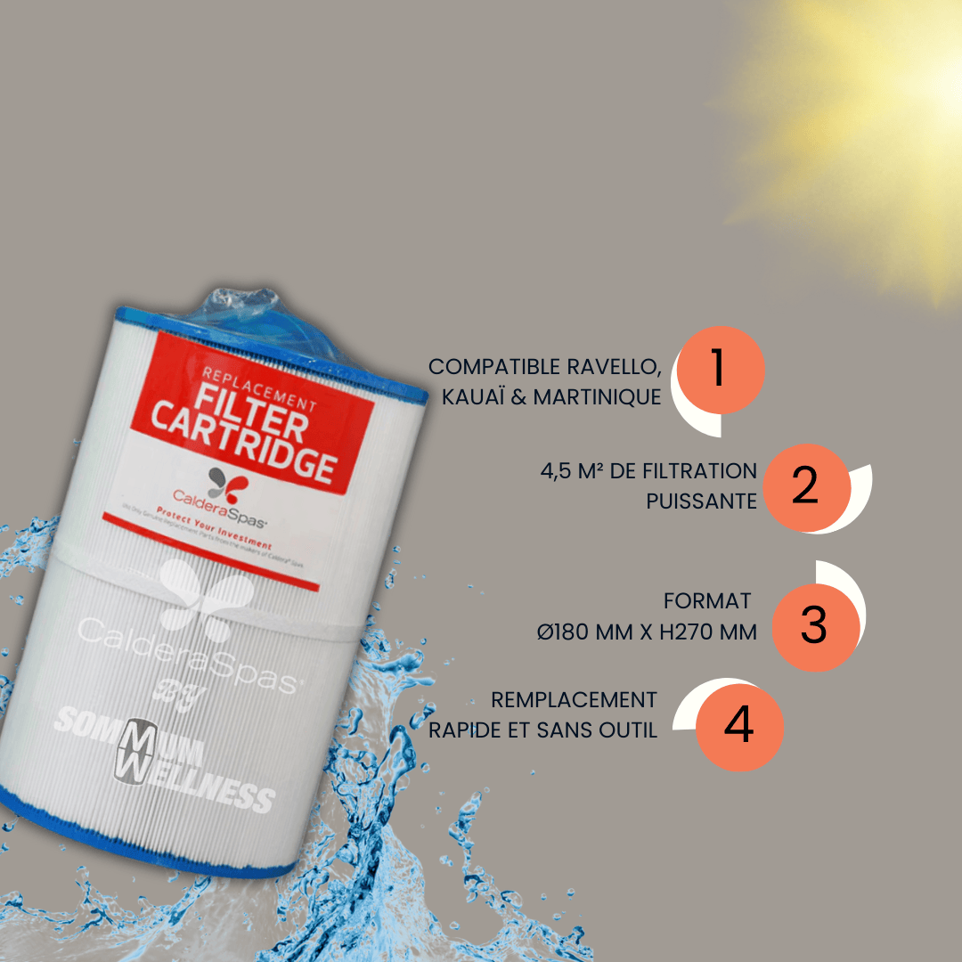 cartouche filtre spa caldera 4.5m2 surface filtrante