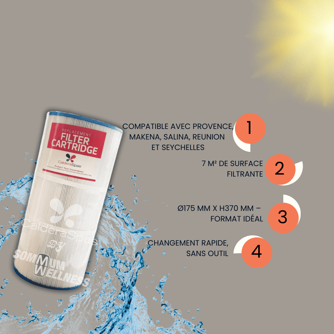Filtre Caldera Spas 75SQ – Provence, Makena, Salina, Seychelles et Reunion