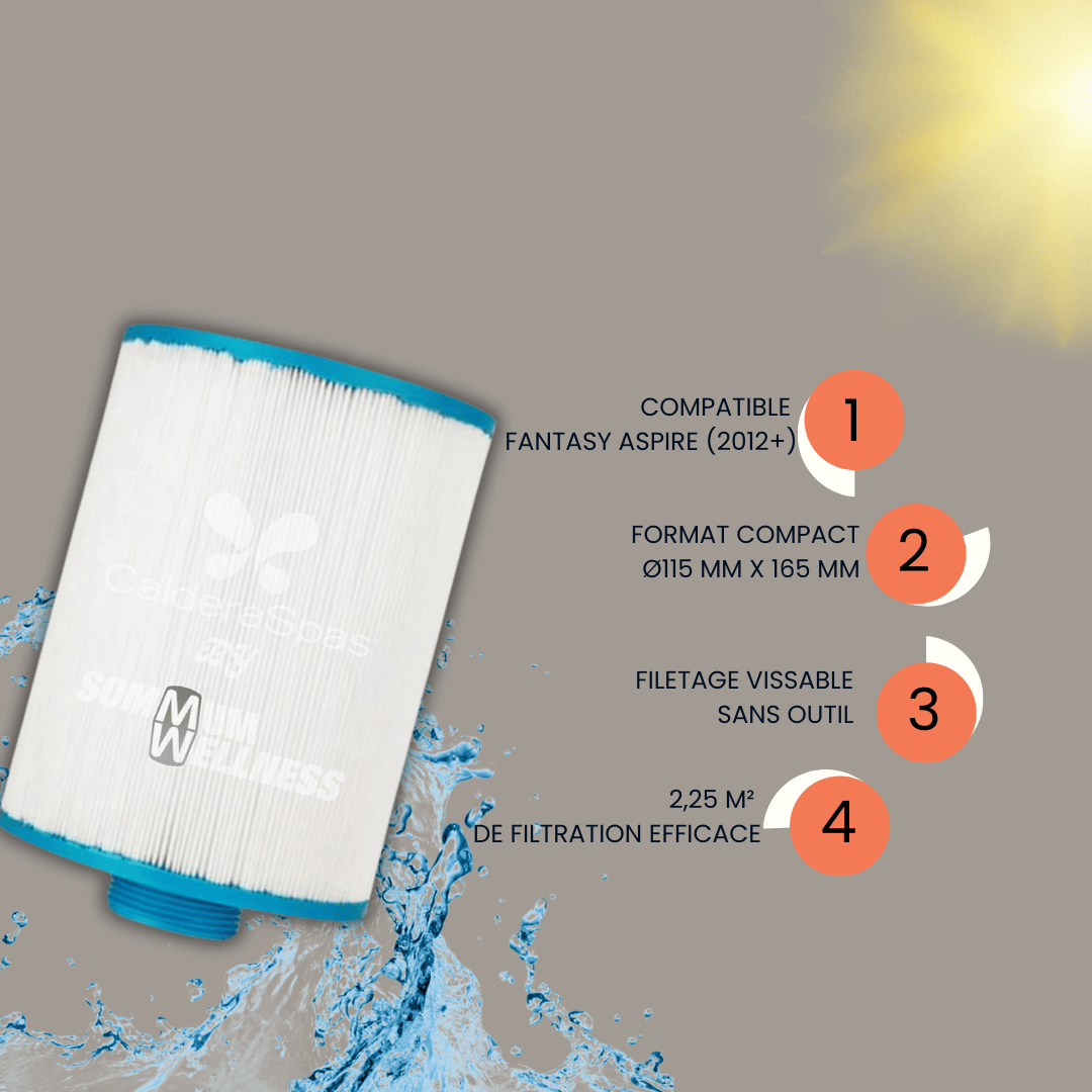 Filtre Fantasy Spas 25SF – Aspire (2012 à aujourd’hui)