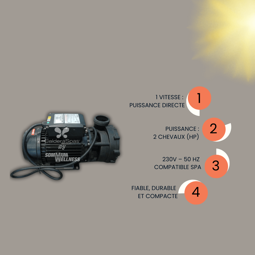 Pompe à Jet Spa 2HP – 1 vitesse – 230V 50Hz