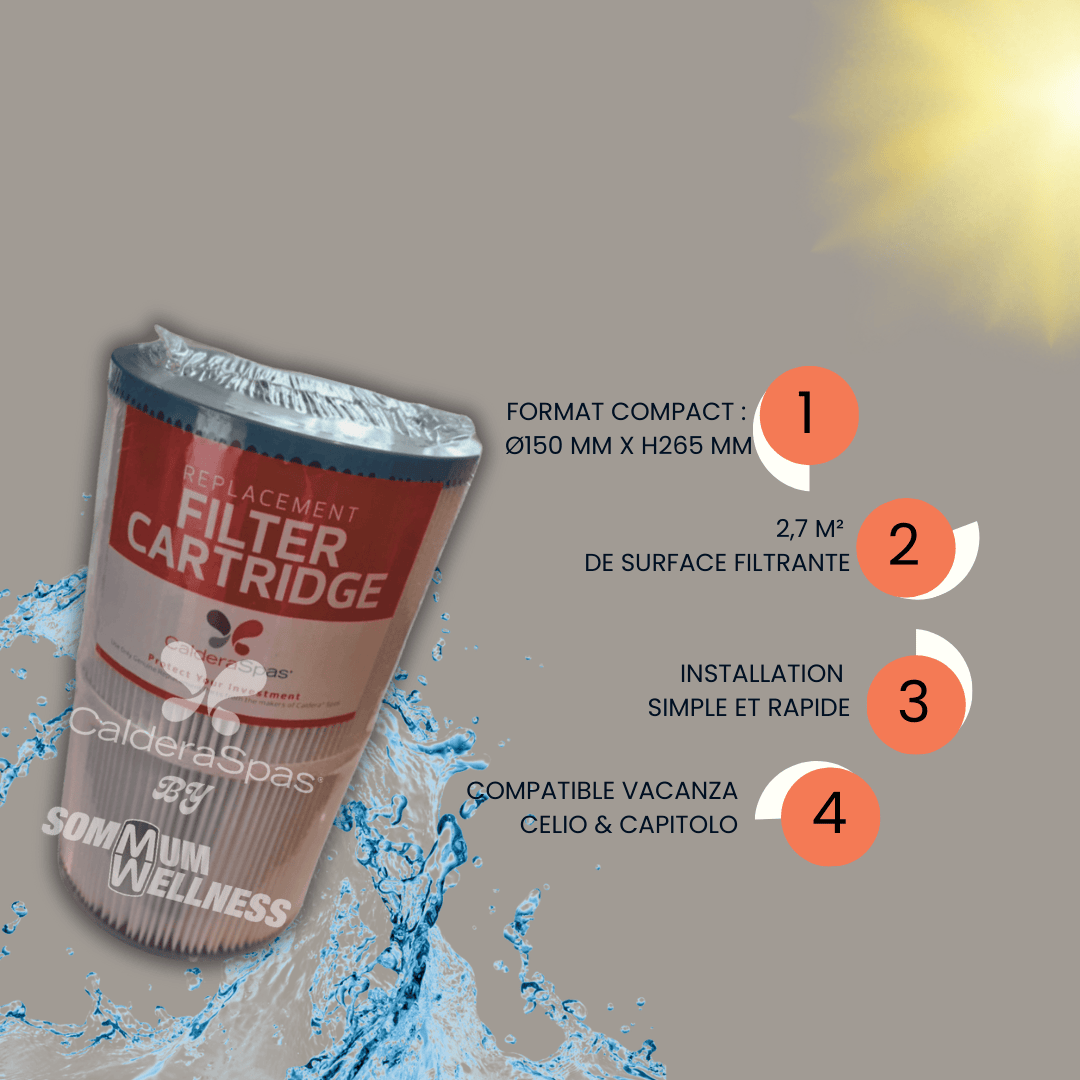 cartouche filtre spa caldera 2.7m2 surface filtrante