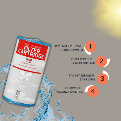 cartouche filtre spa caldera 3.2m2 surface filtrante
