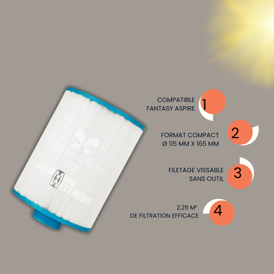 cartouche filtre spa fantasy spas 2.25m2 surface filtrante