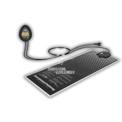 Chauffage avec plaque et thermostat