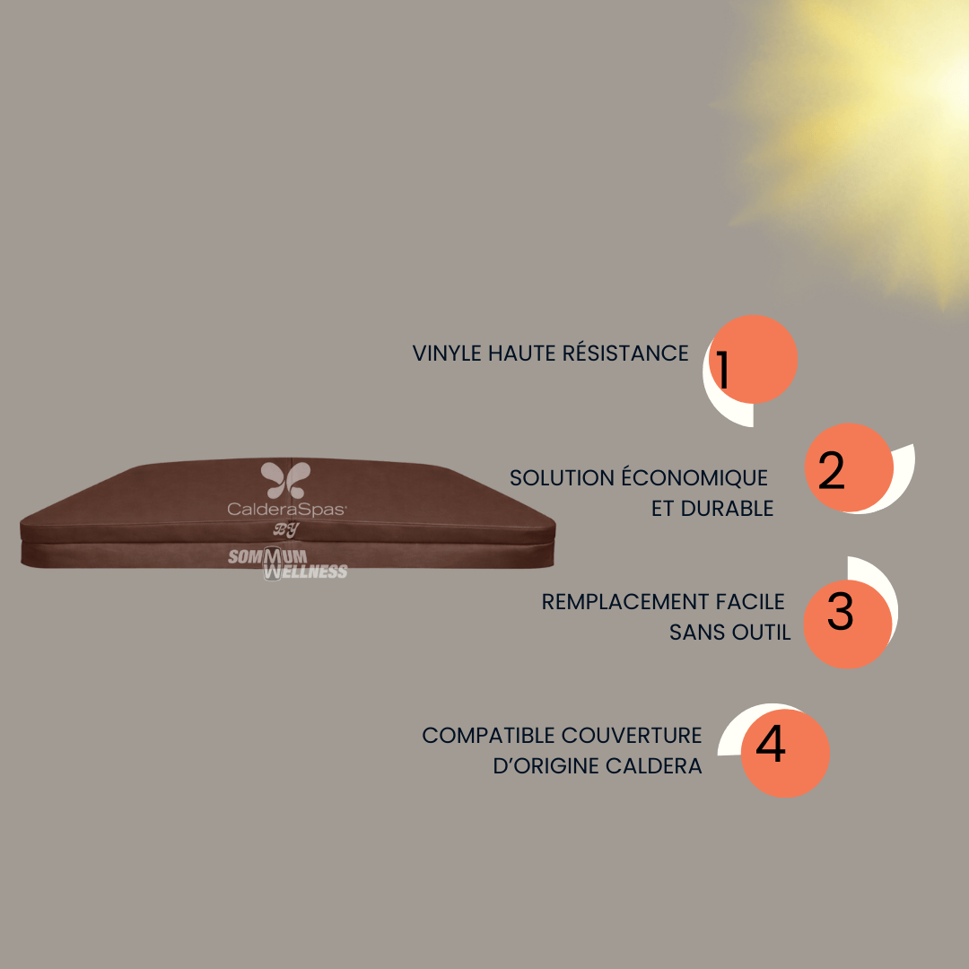 Enveloppe vinyle marron avec avantages