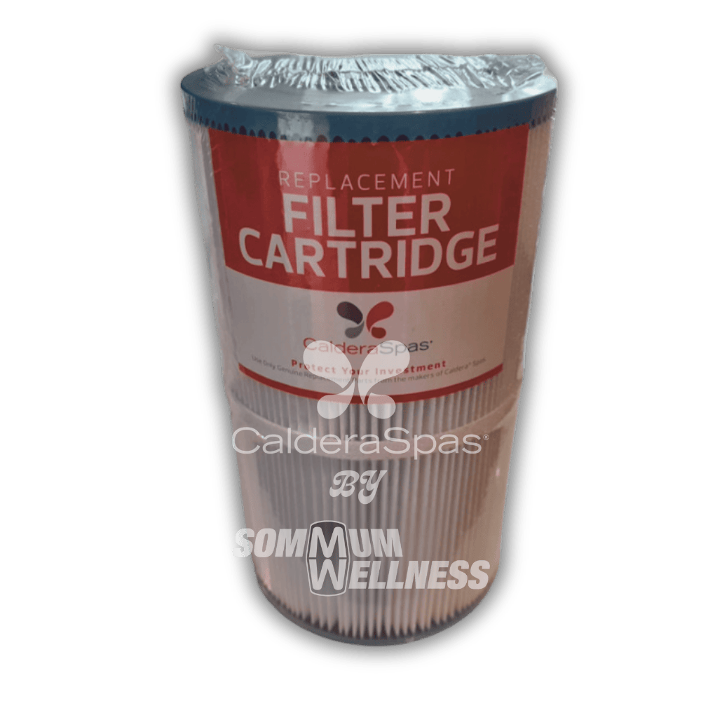 Filtre Caldera Spas 30SQ