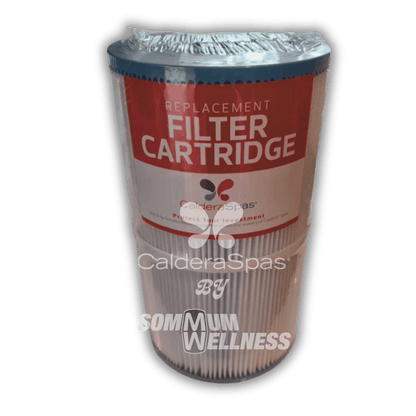Filtre Caldera Spas 30SQ