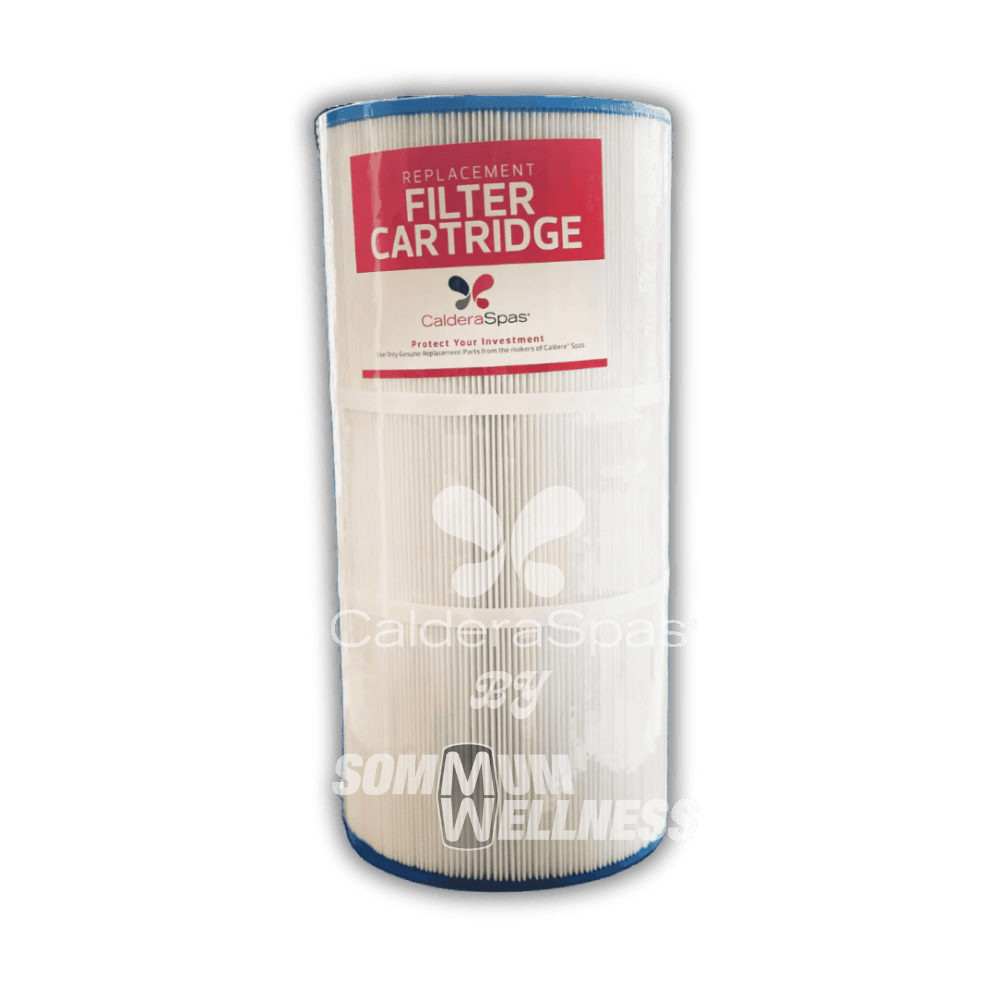 Filtre Caldera Spas