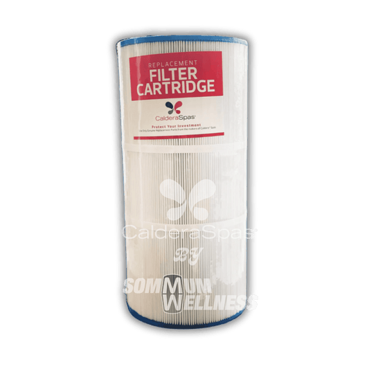 Filtre Caldera Spas