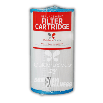 filtre spa caldera 35sq aventine filtration spa