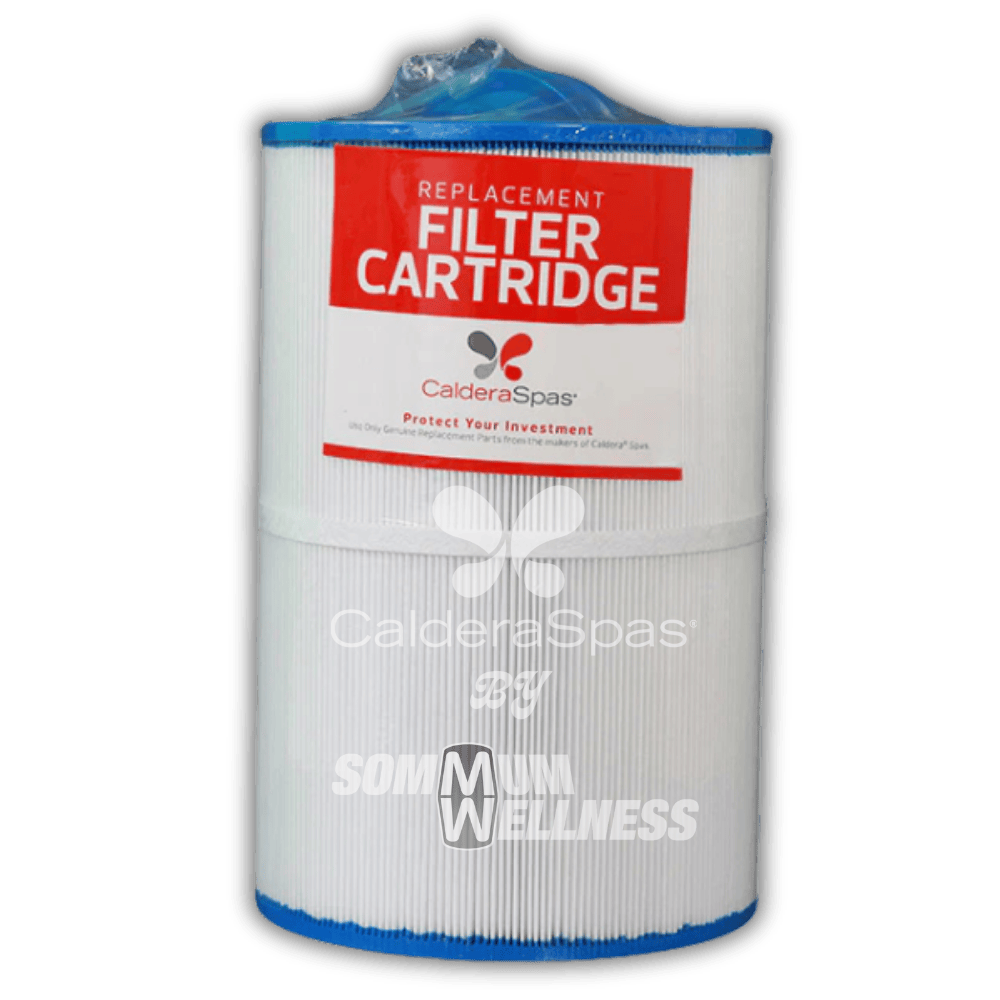 cartouche filtre spa Caldera 50SQ pour Vacanza Cima et Lina