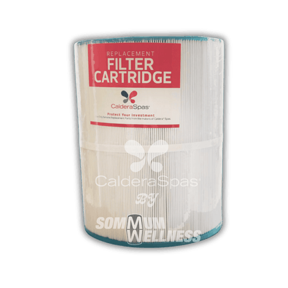 filtre spa caldera 65sq marino vanto palatino filtration spa