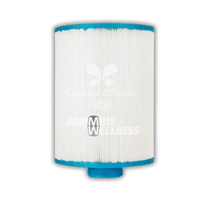 filtre spa fantasy spas 25sf aspire filtration spa