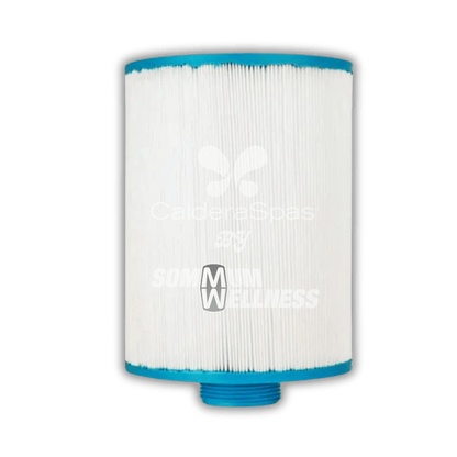 filtre spa fantasy spas 25sf aspire filtration spa