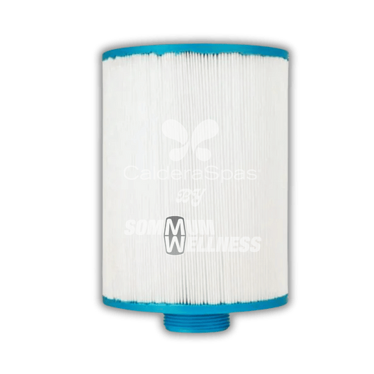 filtre spa fantasy spas 25sf aspire filtration spa