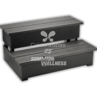marche spa caldera ecotech marron effet bois acces spa