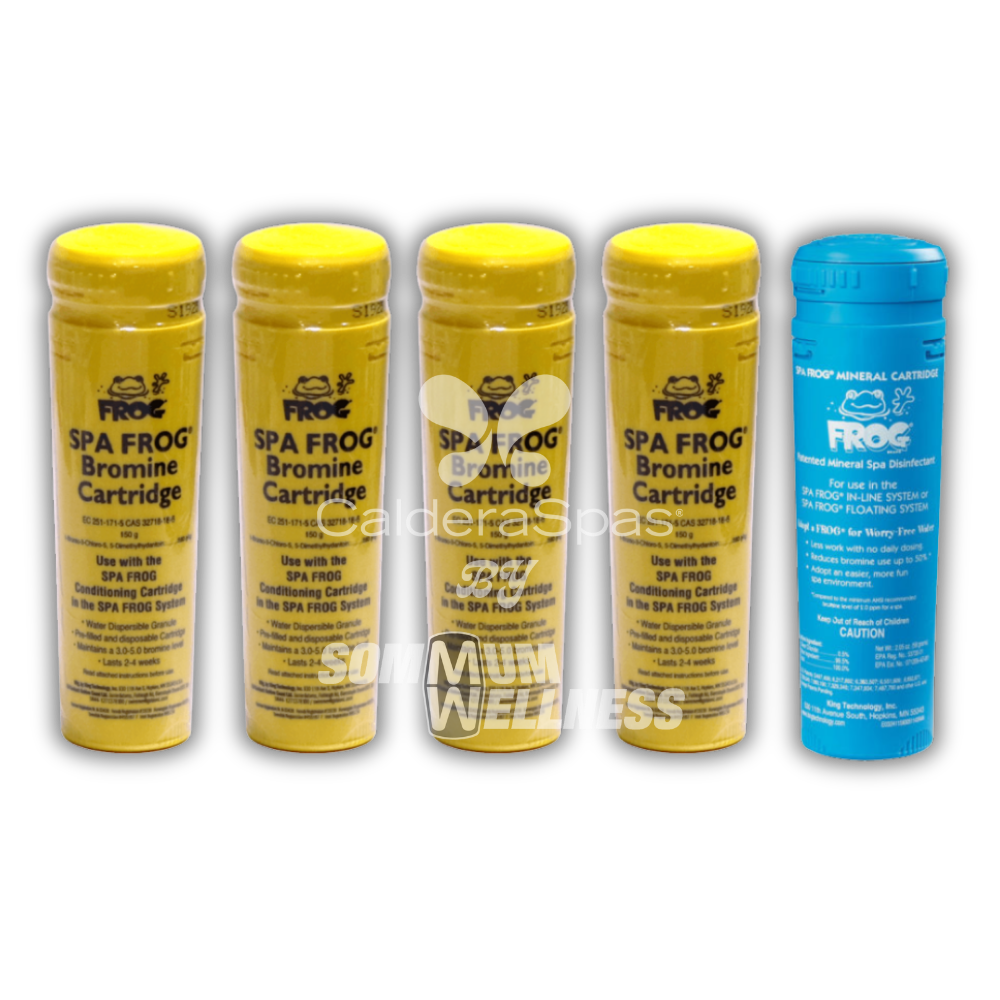 pack spa frog 4 mois brome minerale traitement spa