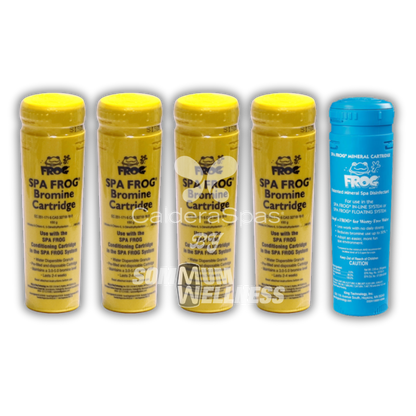 pack spa frog 4 mois brome minerale traitement spa