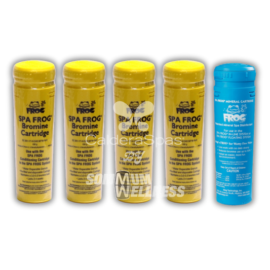 pack spa frog 4 mois brome minerale traitement spa