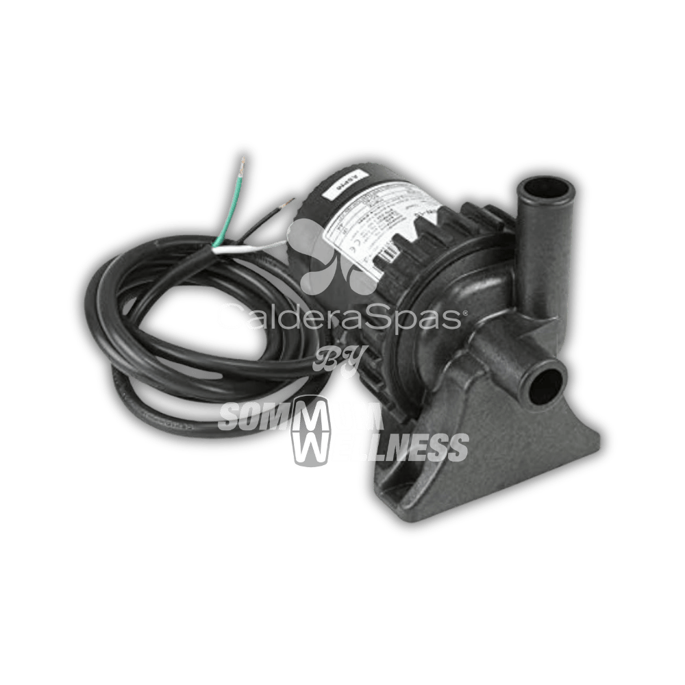 Pompe circulation noire