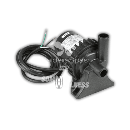 Pompe circulation noire