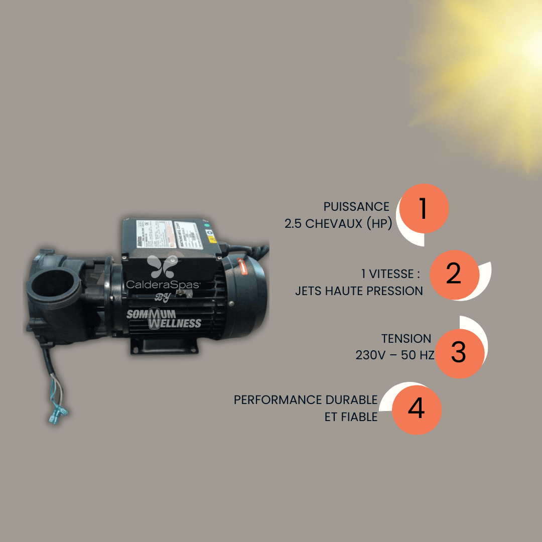 pompe spa 2.5hp schema debit puissance jets spa