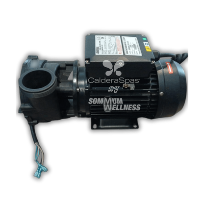 pompe spa 2.5hp 1 vitesse moteur jet spa
