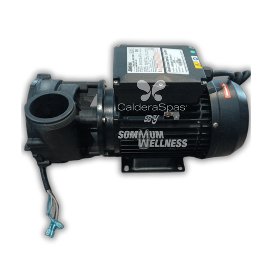 pompe spa 2.5hp 1 vitesse moteur jet spa