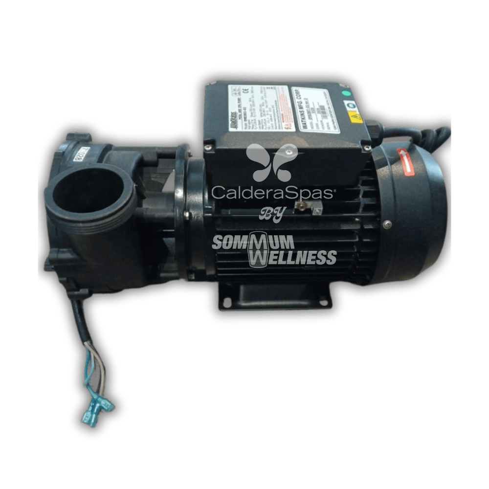 pompe spa 2.5hp 2 vitesses moteur jet spa