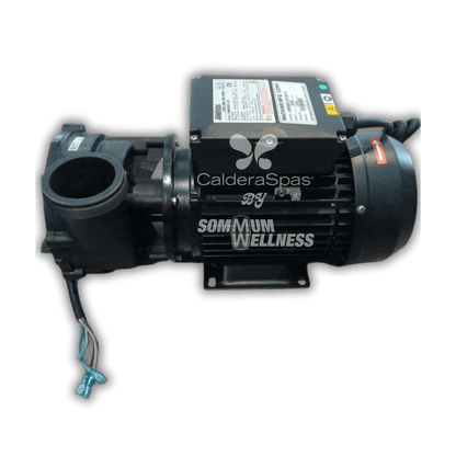 pompe spa 2.5hp 2 vitesses moteur jet spa