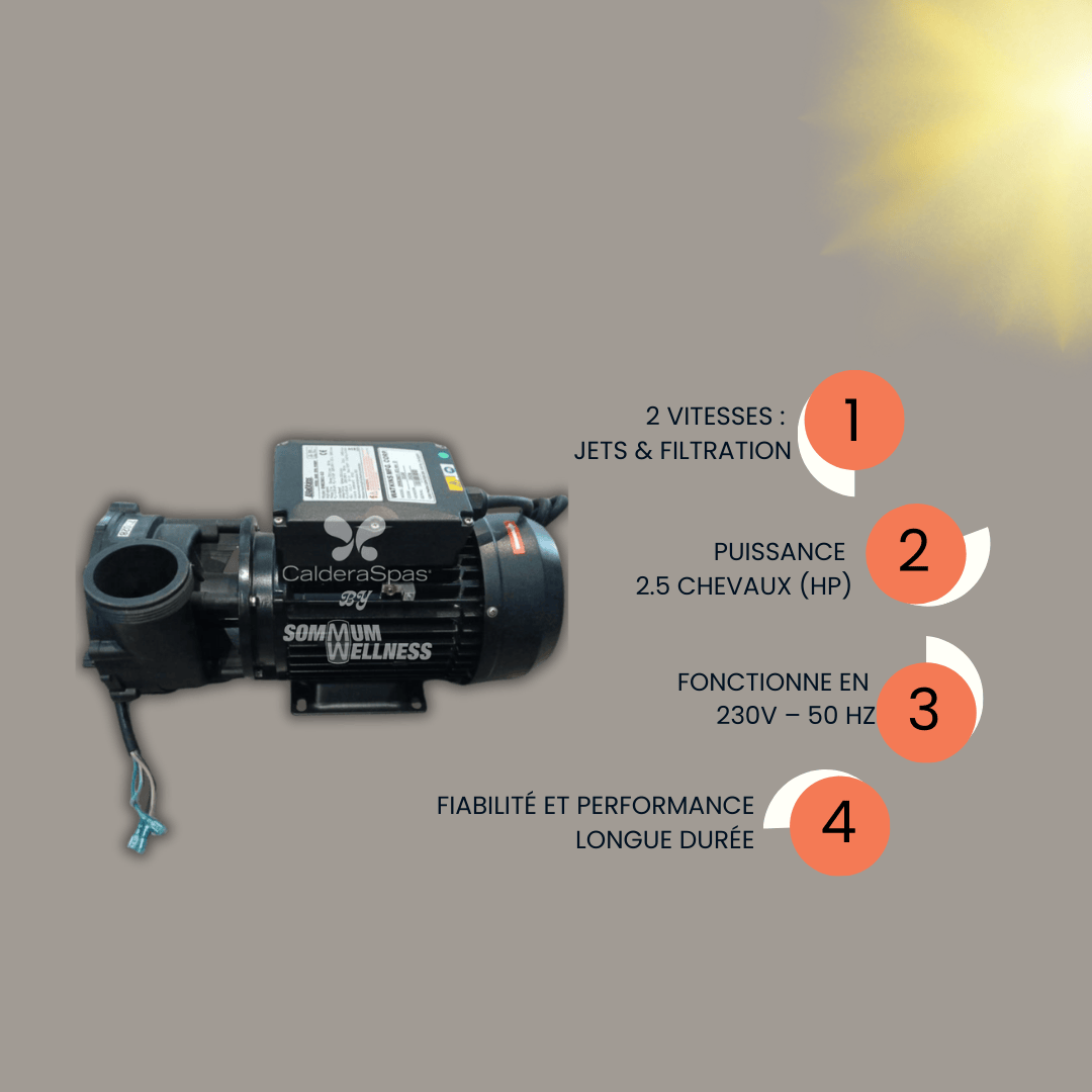pompe spa 2.5hp schema debit puissance jets spa