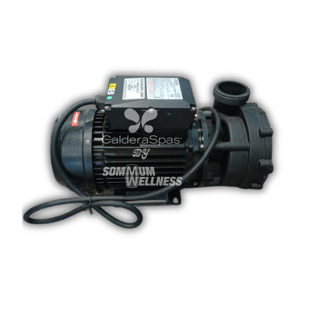 pompe spa 2hp 1 vitesse moteur jet spa
