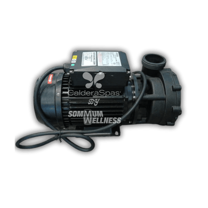 pompe spa 2hp 1 vitesse moteur jet spa