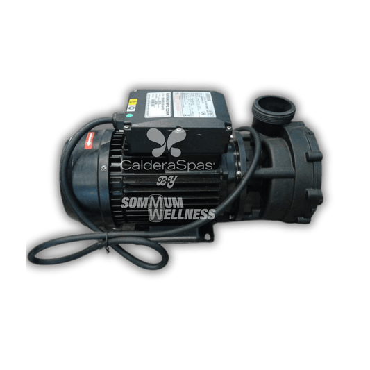 pompe spa 2hp 1 vitesse moteur jet spa