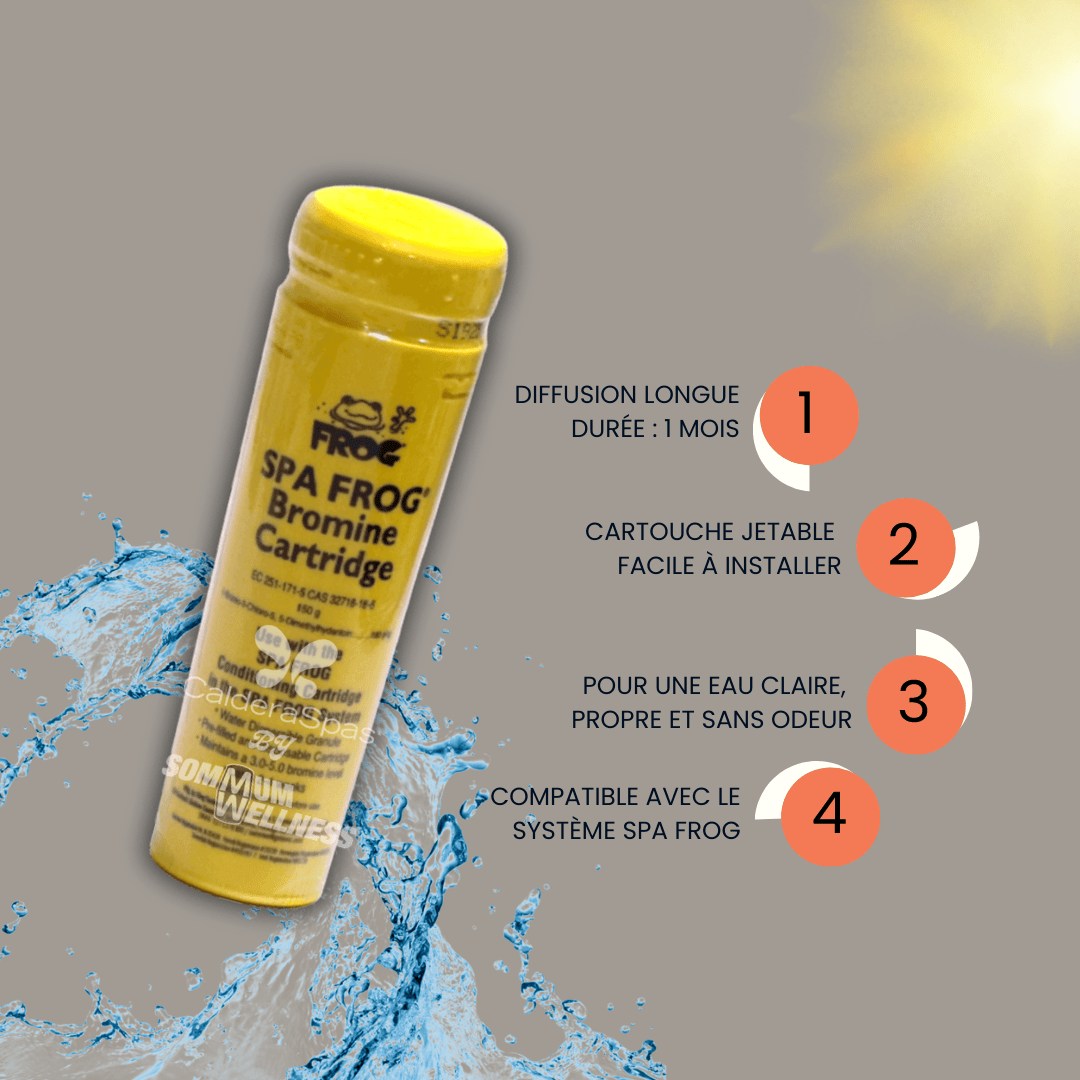 systeme spa frog cartouche brome spa utilisation