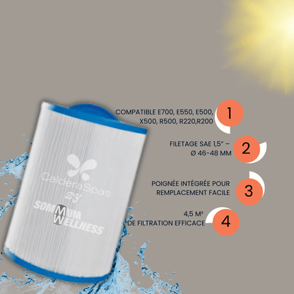 Filtre Endless Pools – E700, E550, E500, X500, R500, R220, R200