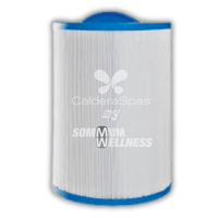 filtre spa pww50p3 cartouche filtration spa filetage sae 1.5 poucespouces