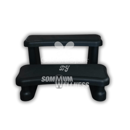 marches spa polymere noir 2 niveaux vue face acces spa