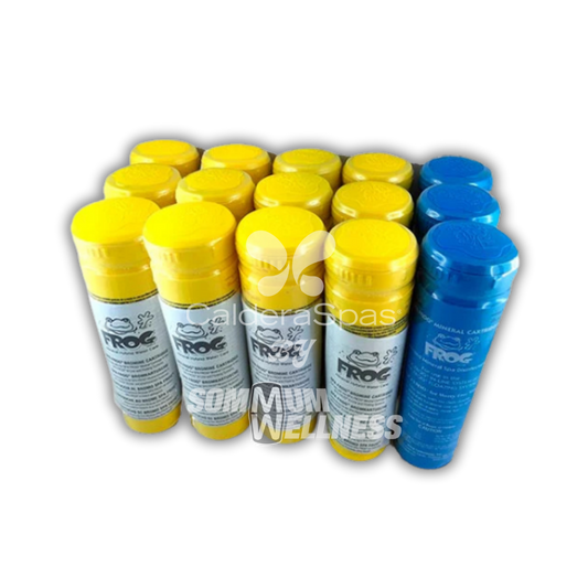 pack spa frog 12 cartouches brome 3 minerale traitement eau spa