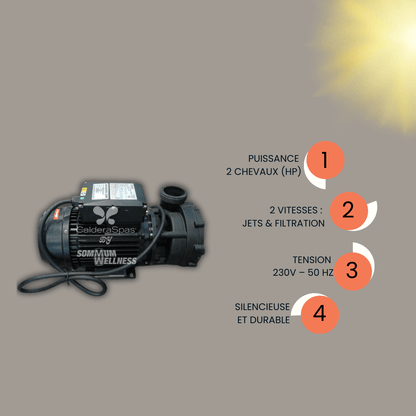 Pompe à Jet Spa 2HP – 2 vitesses – 230V 50Hz