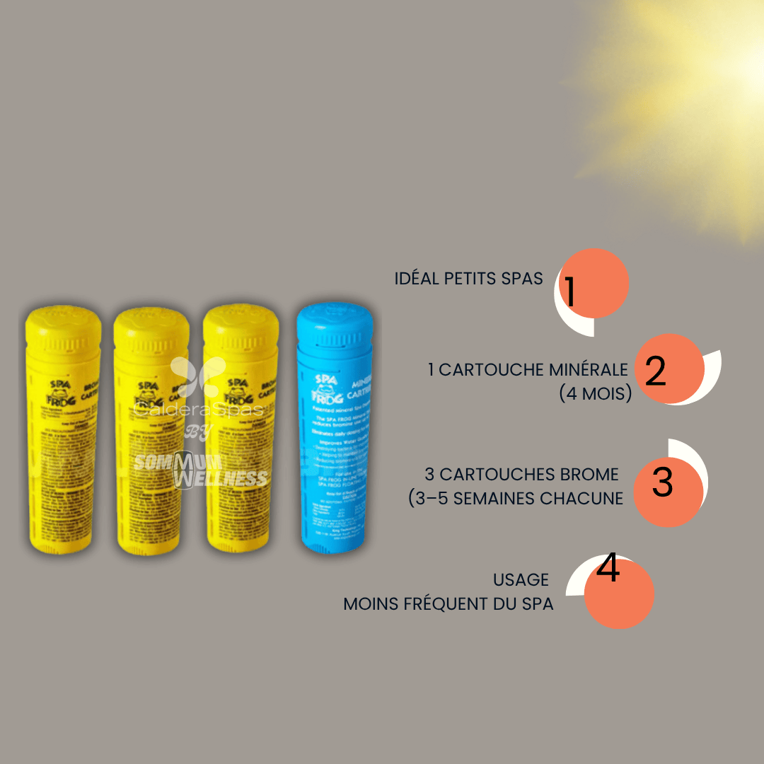 spa frog avantages eau propre entretien simplifie spa